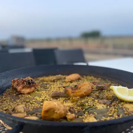 Casa Del Palmar Junior